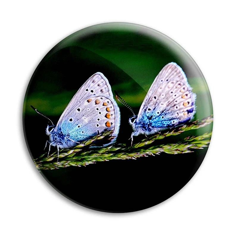مگنت پرمانه طرح پروانه کد pmag.22162