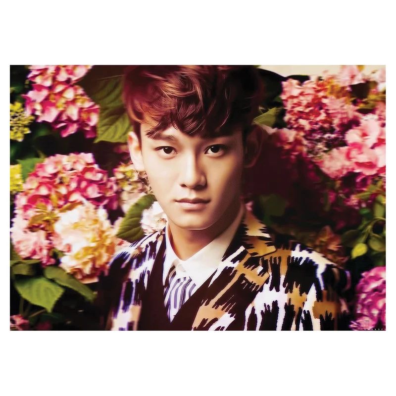 پوستر طرح EXO کد 443