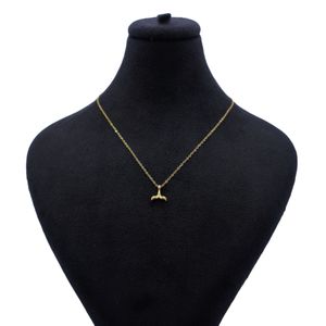 گردنبند طلا 18 عیار زنانه با زنجیر حلقه‌ای (فلامینگو) ناریا مدل دم وال کد ES-3