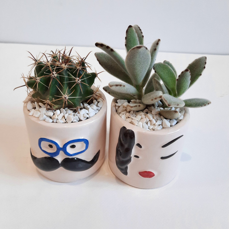 گیاه طبیعی ساکولنت و کاکتوس طرح زن و شوهر مجموعه 2 عددی کد 2