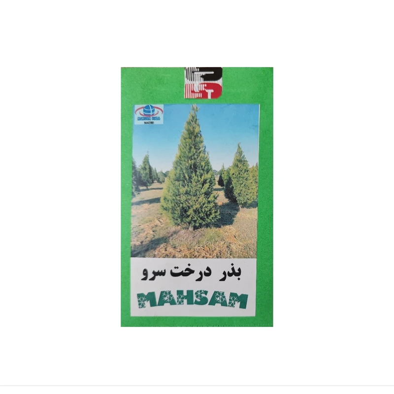 بذر آماده کاشت درخت سرو مهسام مدل N-100 مجموعه 100 عددی