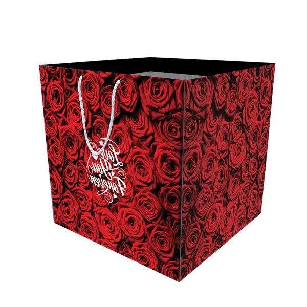 ساک هدیه مدل 10052 بسته 12 عددی