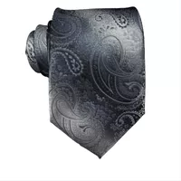 کراوات مردانه مدل بته جقه کد RG Bj