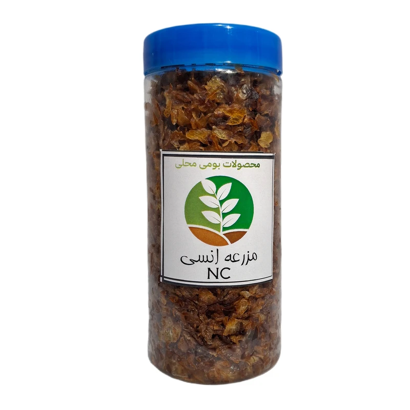پیاز داغ سرخ شده انسی - 450 گرم
