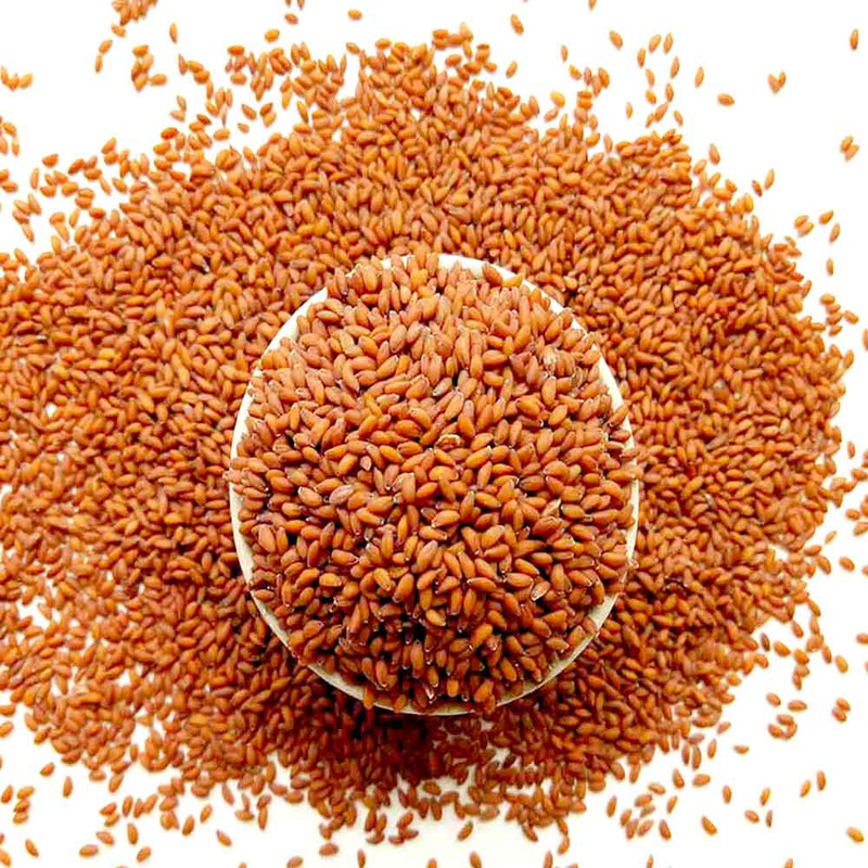 غذای پرندگان مدل تخم شاهی وزن 2 کیلوگرم