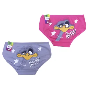 شورت زنانه مدل اسلیپ 209 بسته دو عددی