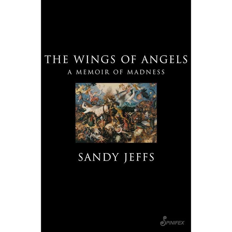 کتاب The Wings of Angels اثر Sandy Jeffs انتشارات Spinifex Press