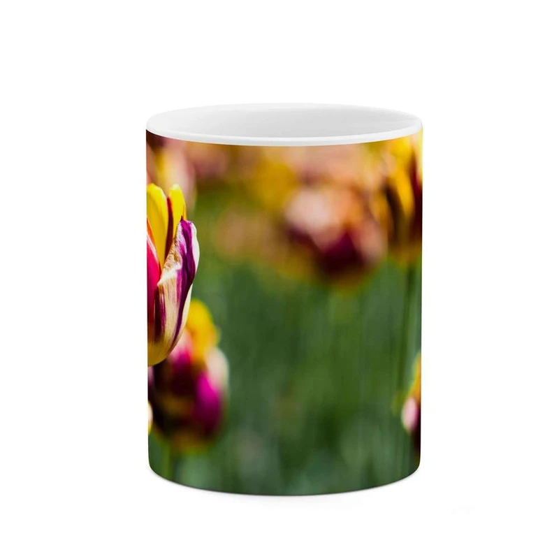 ماگ کاکتی مدل گل کد mgh12015