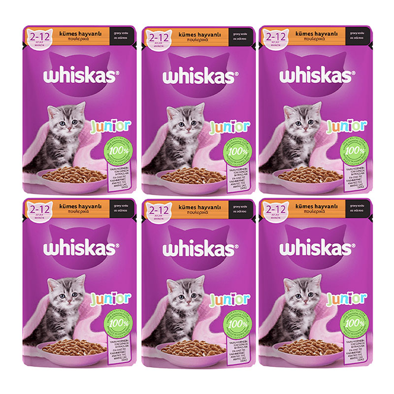 پوچ بچه گربه ویسکاس مدل Junior وزن 85 گرم بسته 6 عددی