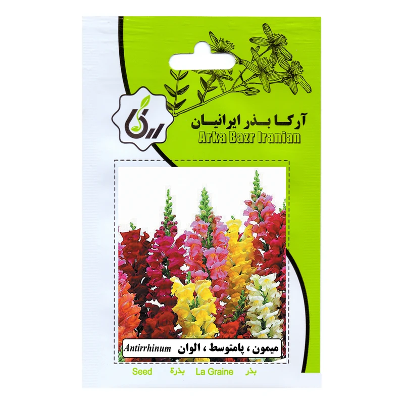 بذر  میمون پا متوسط الوان آرکا بذر ایرانیان مدل C143