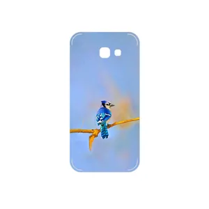 MAHOOT Cyanocitta cristata Cover Sticker for Samsung Galaxy A5 2017