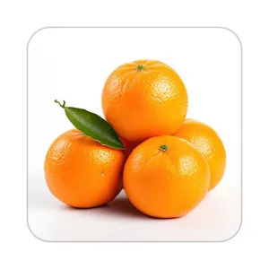 زیر لیوانی کاکتی طرح میوه مدل mp21766