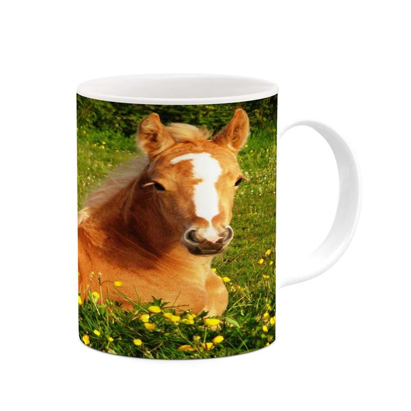 ماگ کاکتی مدل اسب کد mgh24216