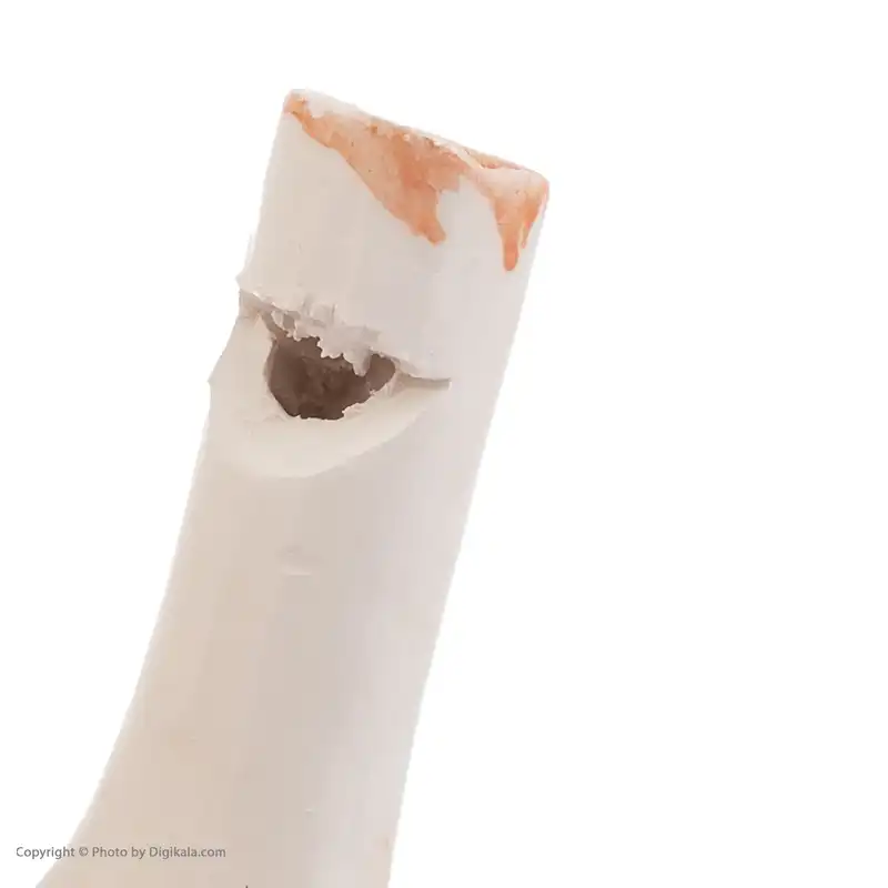 سوت سرامیکی مدل پرنده