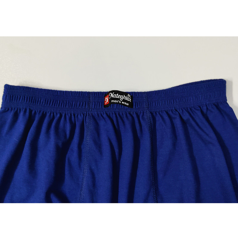 شورت مردانه پوشاک ناطقیان مدل پادار سوپر نخ پنبه کد 26