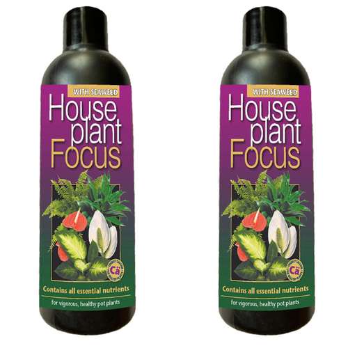 کود کامل گیاهان آپارتمانی فوکوس مدل WS حجم 1 لیتر بسته دو عددی
