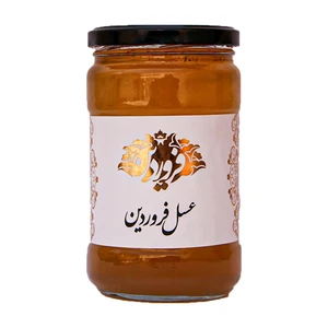 عسل گون گز فروردین - 850 گرم