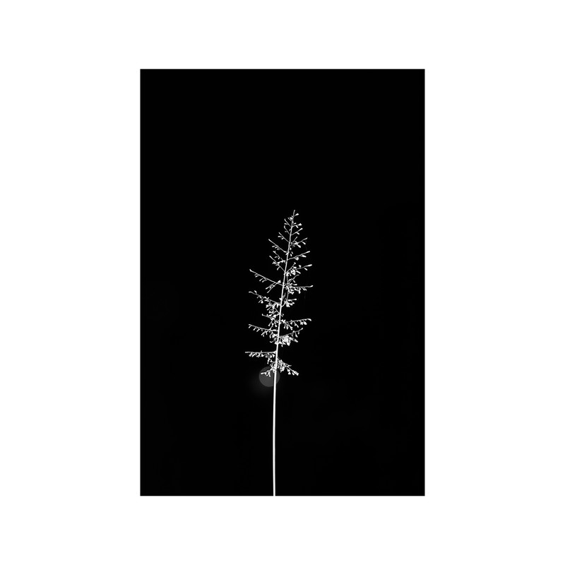 تابلو شاسی مدل tree