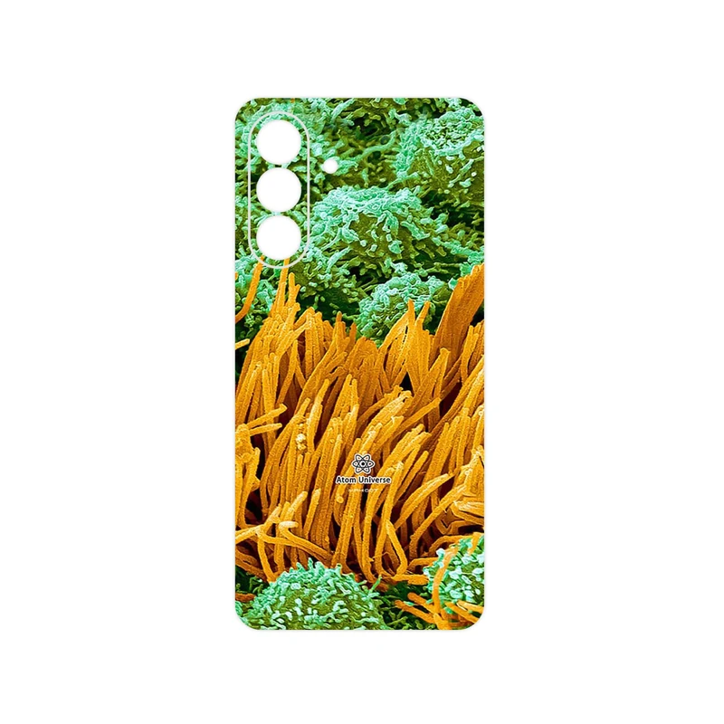 برچسب پوششی ماهوت مدل Atom Universe 6 مناسب برای گوشی موبایل سامسونگ Galaxy A56