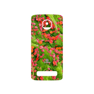 MAHOOT Atom Universe 3 Cover Sticker for Motorola Moto Z Play