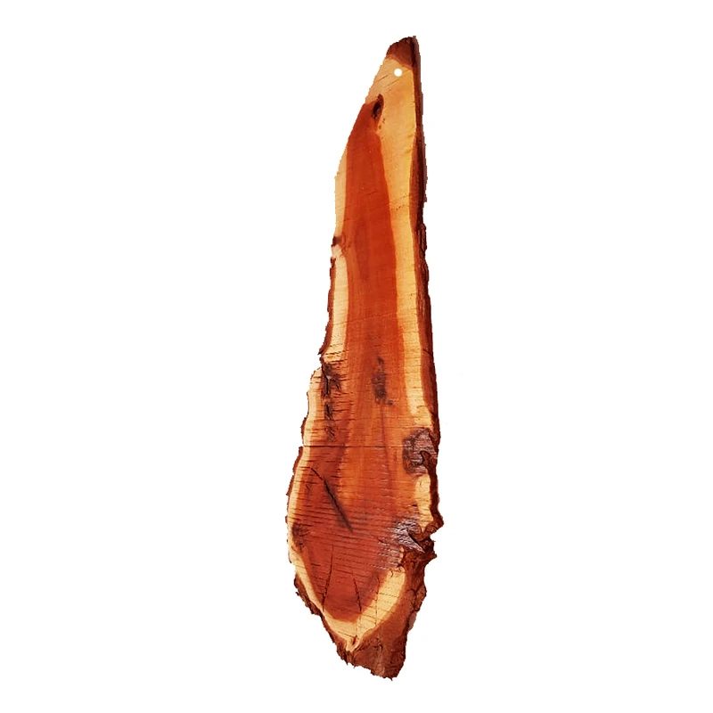 دیوارکوب مدل WOL