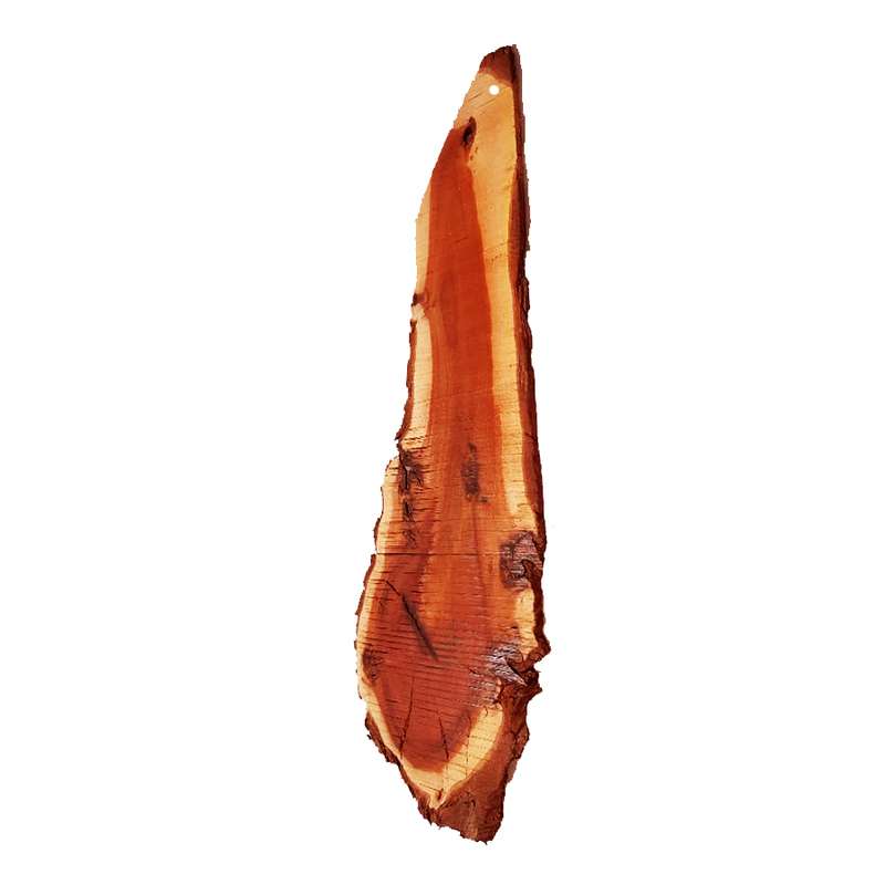 دیوارکوب مدل WOL