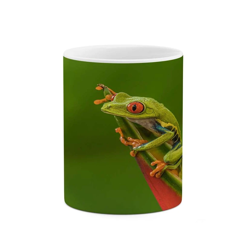 ماگ کاکتی مدل قورباغه کد mgh14588