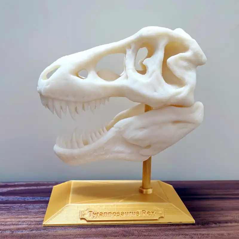 مجسمه مدل جمجمه دایناسور تیریکس T-rex