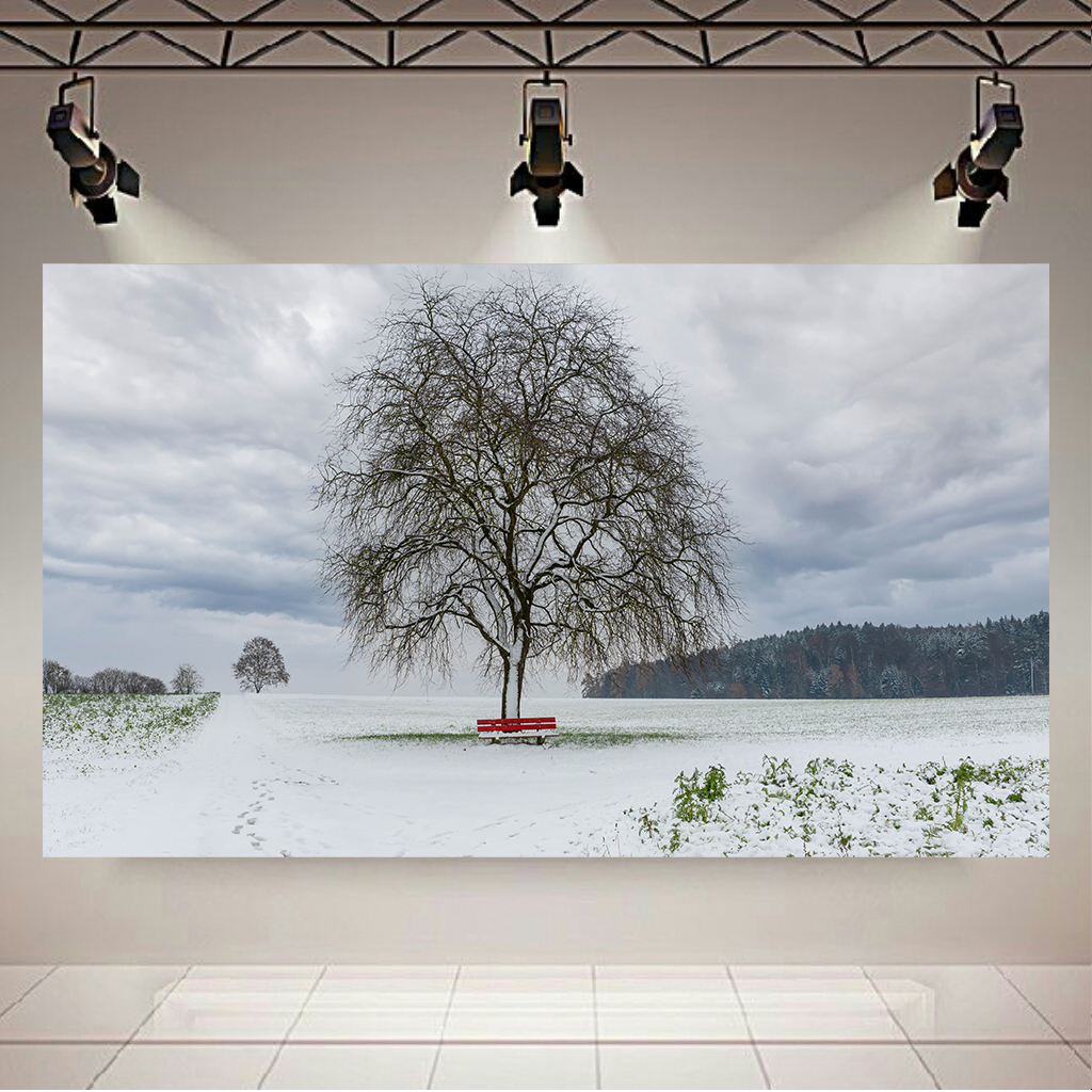 پوستر مدل بک لایت طرح طبیعت تک درخت زمستانی کد ARY101