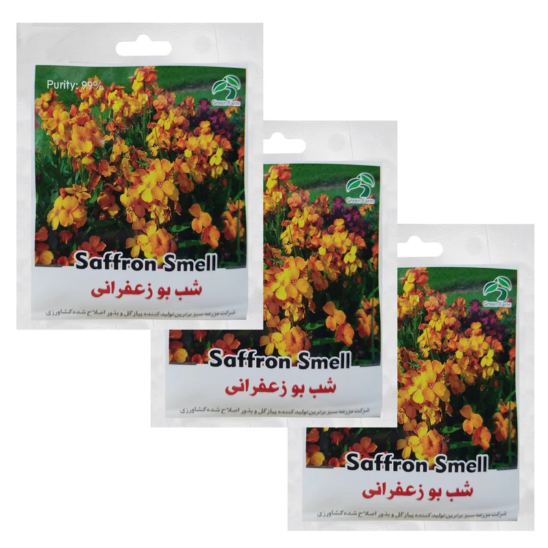 بذر شب بو زعفرانی گرین فارم کد XD 6 بسته 3 عددی