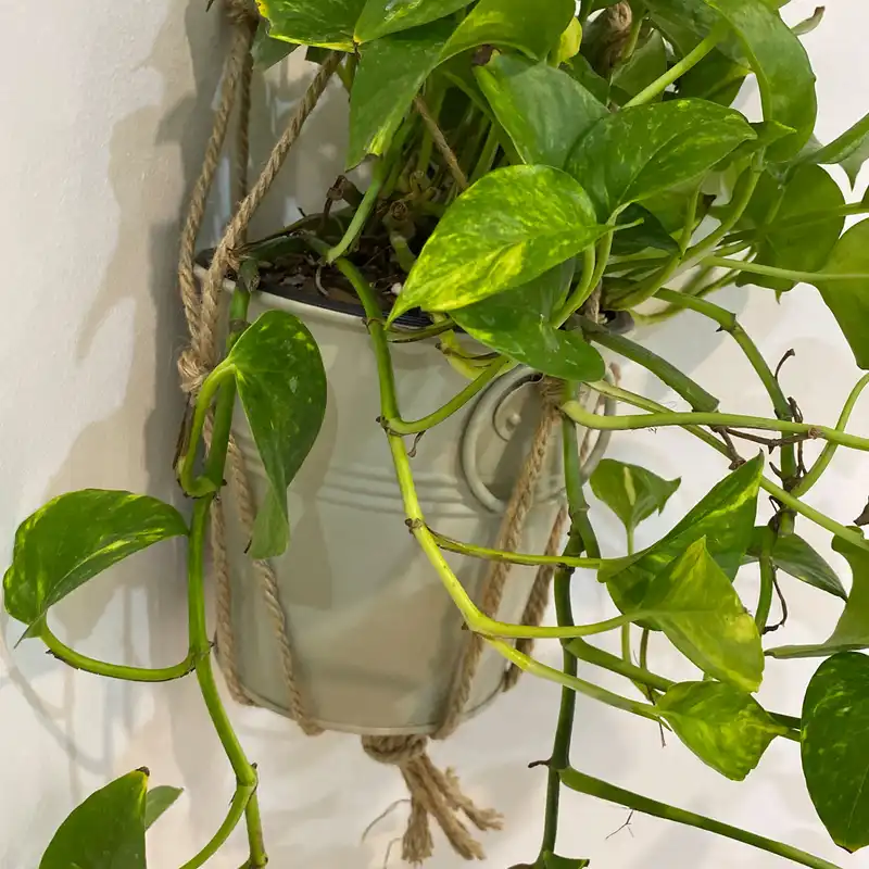 آویز گلدان کد 0014