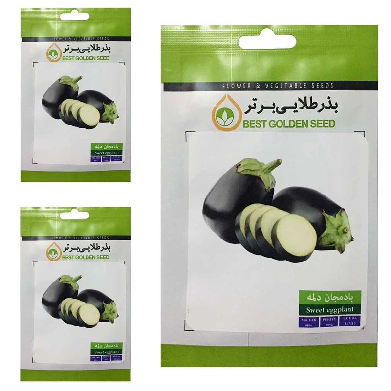 بذر بادمجان دلمه بذر طلایی برتر کد BTB-46 مجموعه 3 عددی