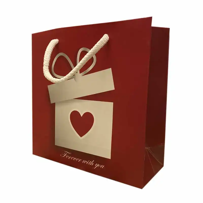 ساک هدیه مدل 2020801