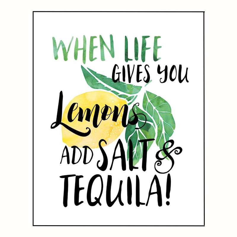 پوستر مدل  وقتی زندگی به تو لیمو می‌دهد  