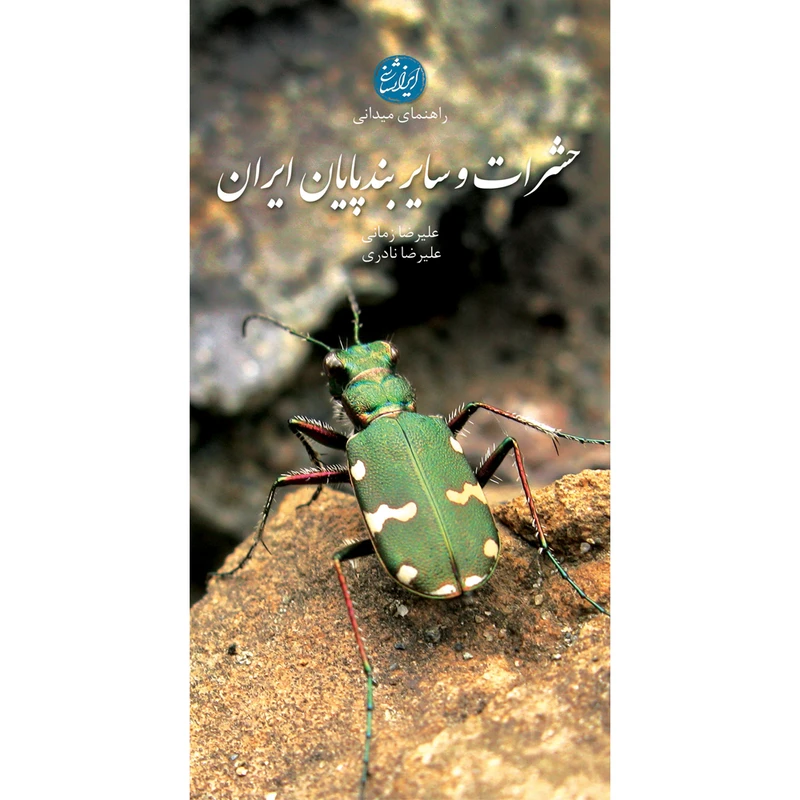 کتاب حشرات و سایر بندپایان ایران اثر علیرضا زمانی و علیرضا نادری انتشارات ایرانشناسی