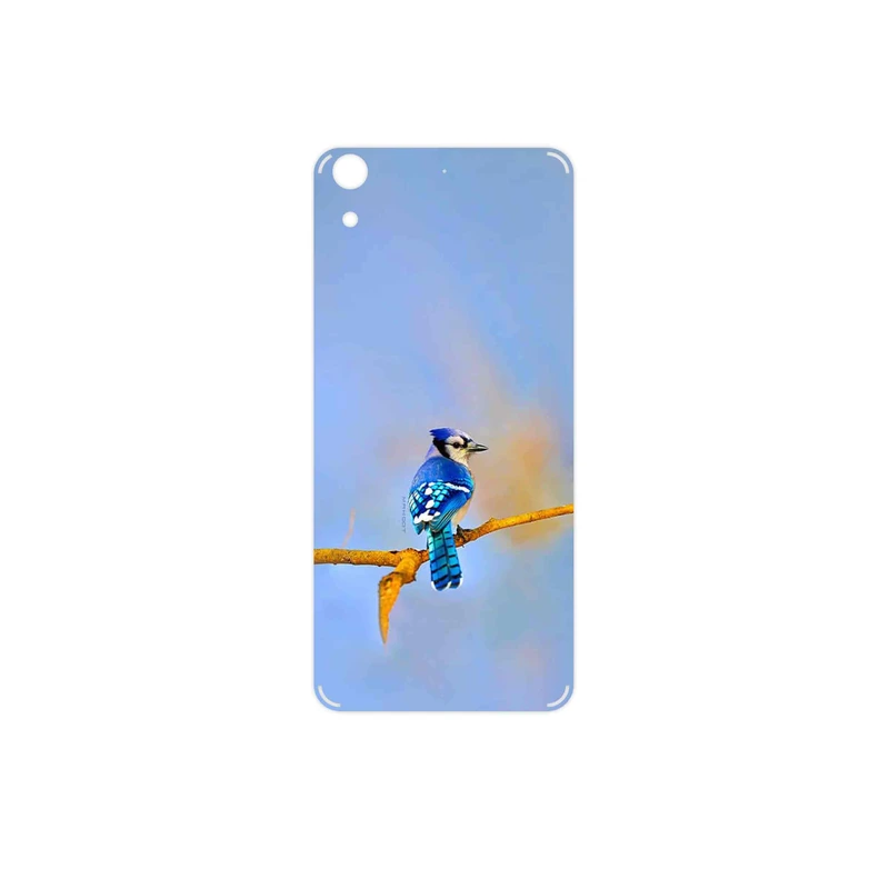 برچسب پوششی ماهوت مدل Cyanocitta cristata مناسب برای گوشی موبایل اچ تی سی Desire 626
