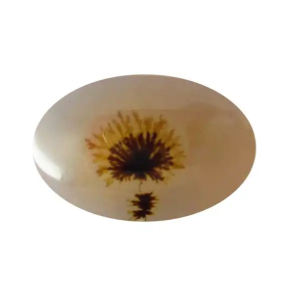 سنگ شجر پارلا گوهر کد 5084