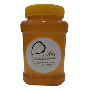 عسل طبیعی ییلاقات گیلسا - 1000 گرم