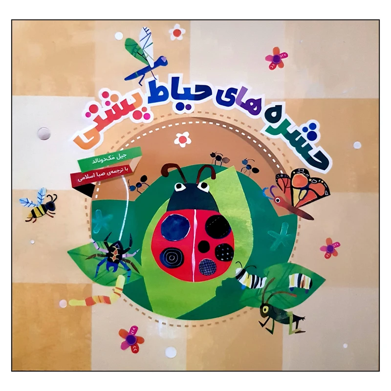 کتاب حشره های حیاط پشتی اثر جیل مک دونالد انتشارات محراب قلم مهتاب