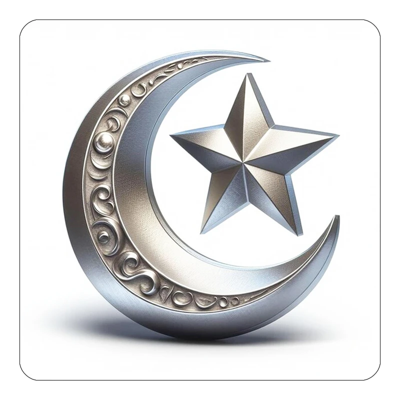 مگنت کاکتی طرح ماه و ستاره مدل mp54207