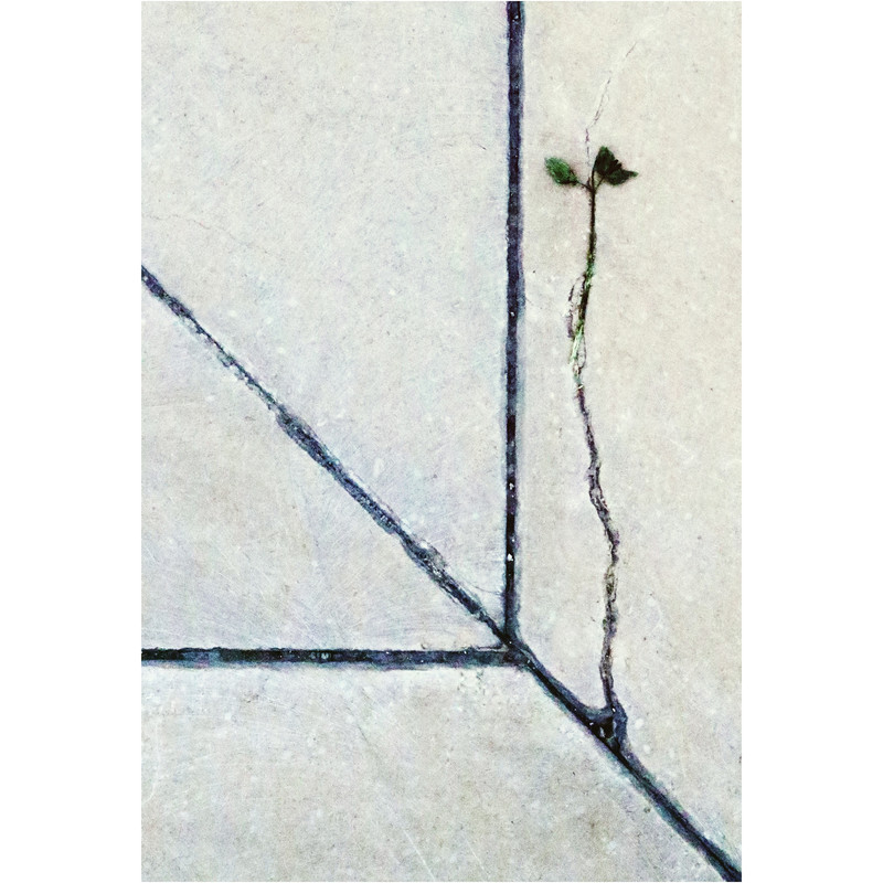 تابلو شاسی مدل A2