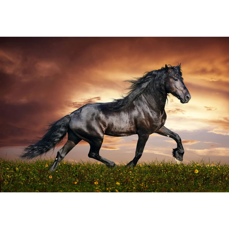 مگنت طرح حیوان اسب مدل T1313 