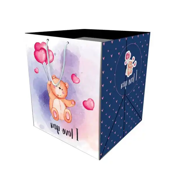 ساک هدیه مدل 10054 بسته 12 عددی