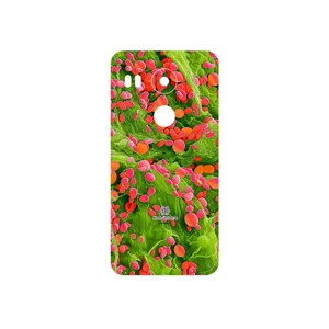 MAHOOT Atom Universe 3 Cover Sticker for Google Nexus 5X