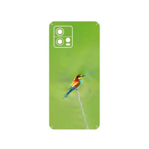 MAHOOT European bee-eater Cover Sticker for Motorola Moto G72