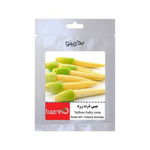 بذر بیبی ذرت زرد بذرینو کد BZNO-175
