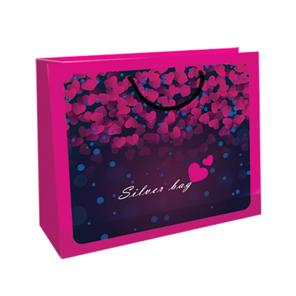 ساک دستی مدل 10023 بسته 12 عددی