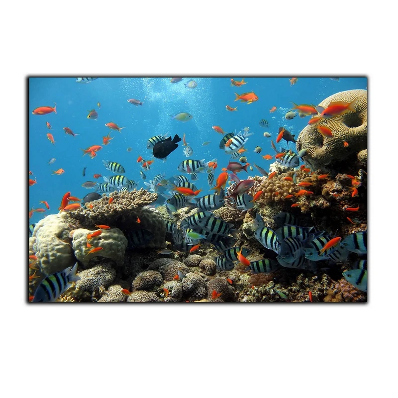 تابلو شاسی بکلیت طرح طبیعت اعماق اقیانوس مدل SH-7472
