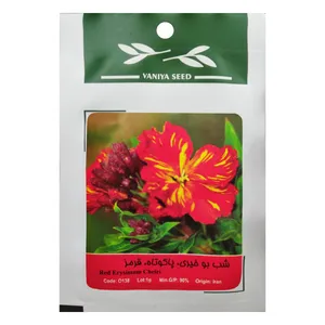 بذر گل شب بو خیری پاکوتاه قرمز وانیا سید مدل O138