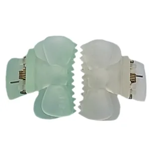 کلیپس مو زنانه مدل پاپیون پاستلی مجموعه دو عددی